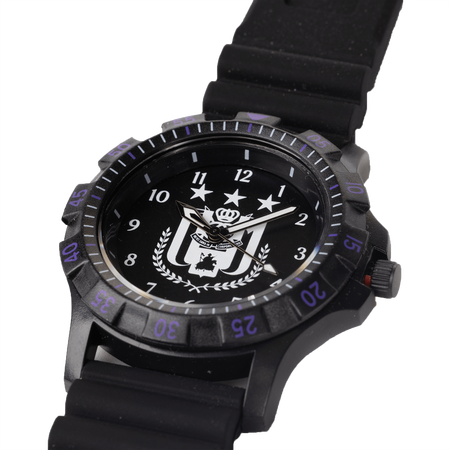 RSCA Watch