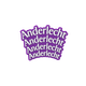 Magnet Anderlecht