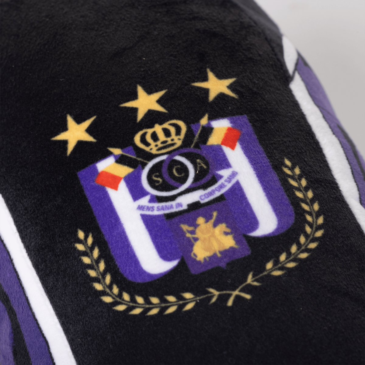 RSCA BUS PLUSH
