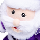 RSCA Santa Claus Plush