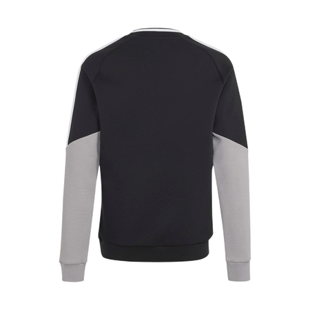 RSC Anderlecht 26/27 Staff Trainingwear crewneck Youth