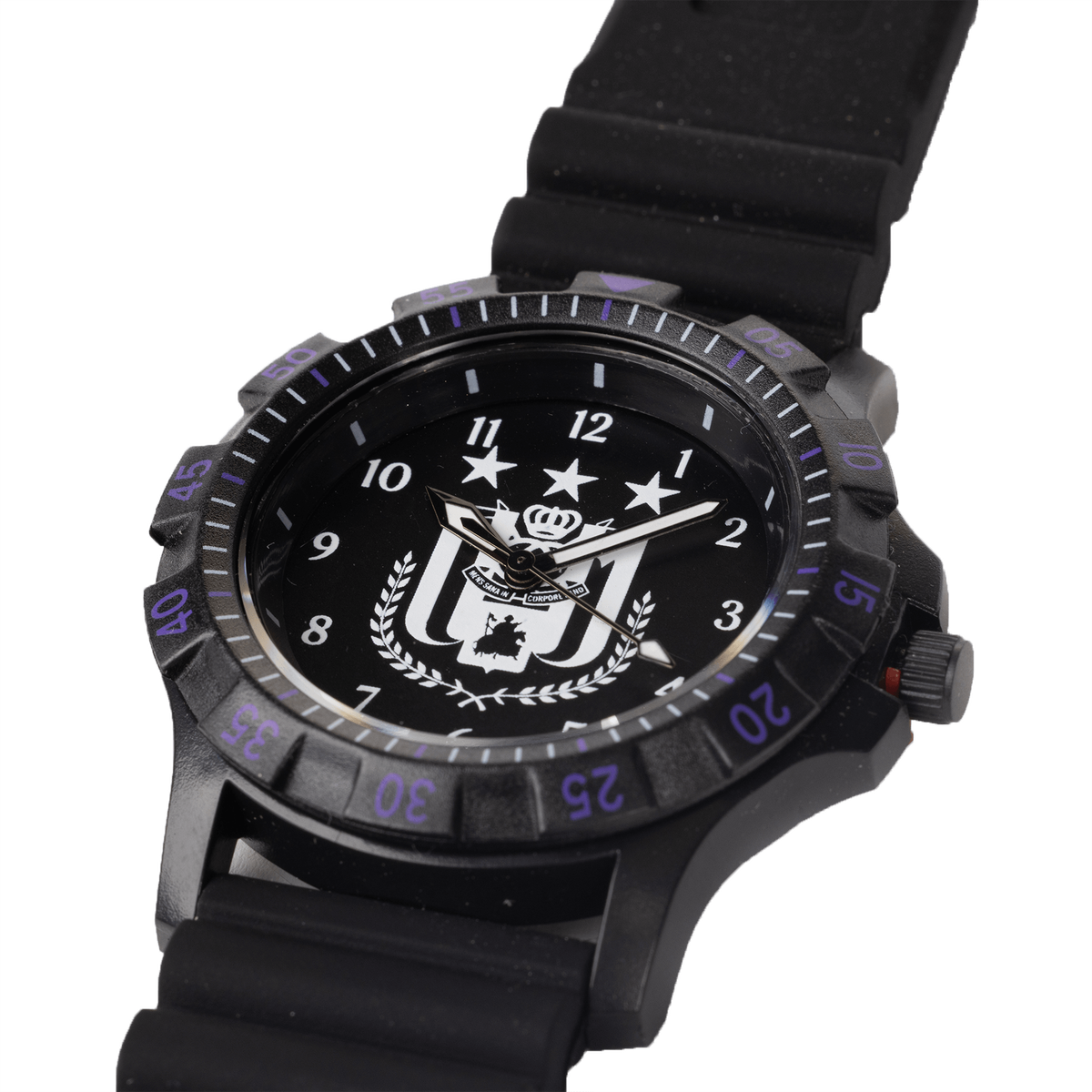 RSCA Watch