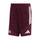Rsc Anderlecht 26/27 Player Trainingwear Short S