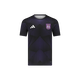 RSC Anderlecht 26/27 Pre Match Shirt Youth 140