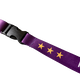 Lanyard
