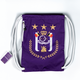 Swimming bag
