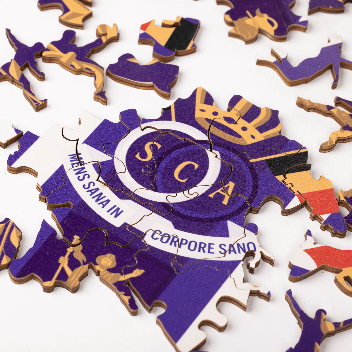 RSCA PUZZEL