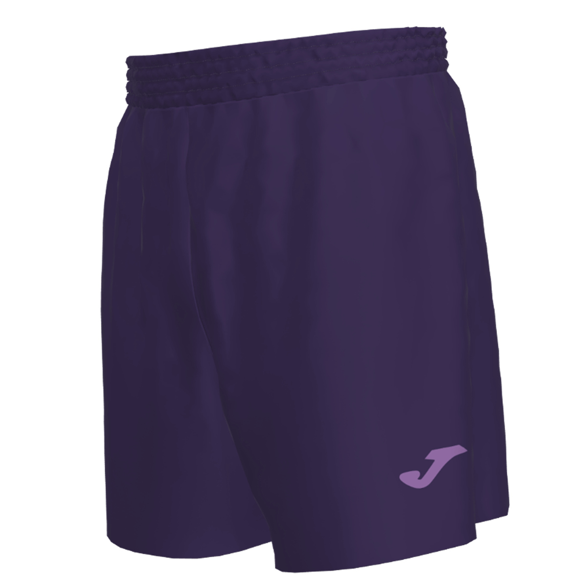 ANDERLECHT GOALKEEPER TRAINING SHORT 7XS