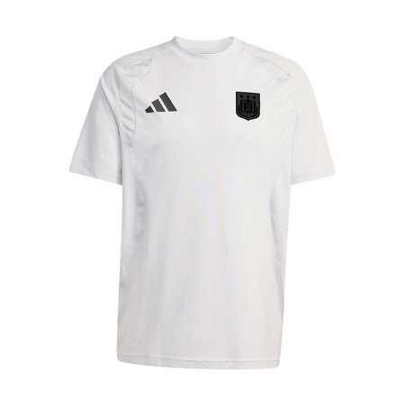 RSC Anderlecht 26/27 Travelwear T-shirt Grey
