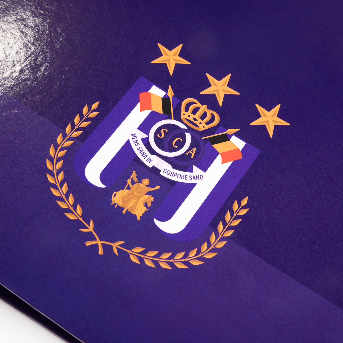 Classeur RSCA