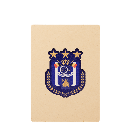 RSCA PUZZLE