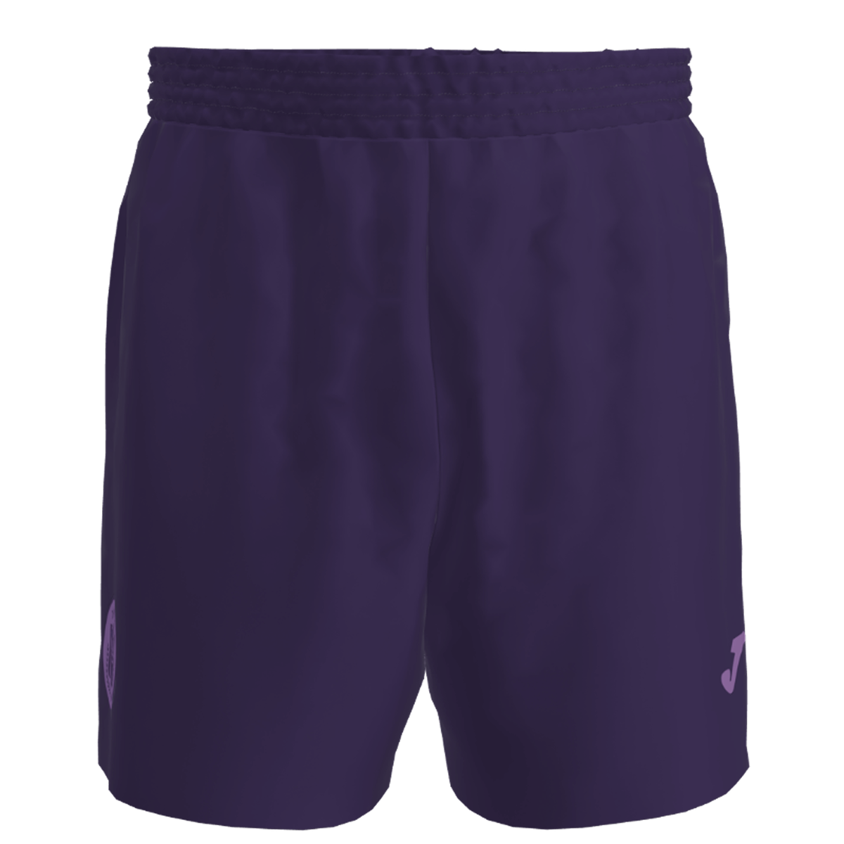 ANDERLECHT GOALKEEPER TRAINING SHORT 2XL